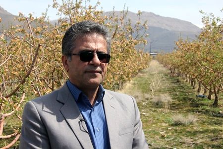 سهم 3500 هکتاری استان تهران از گلخانه های کشور