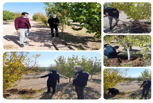 محلول پاشی باغات شهرستان جلفا با فروت ست 