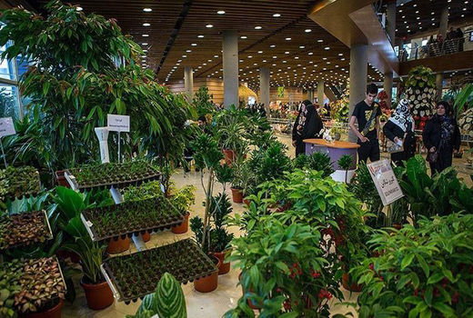 دردهایتان را در نمایشگاه گیاهان دارویی درمان کنید!