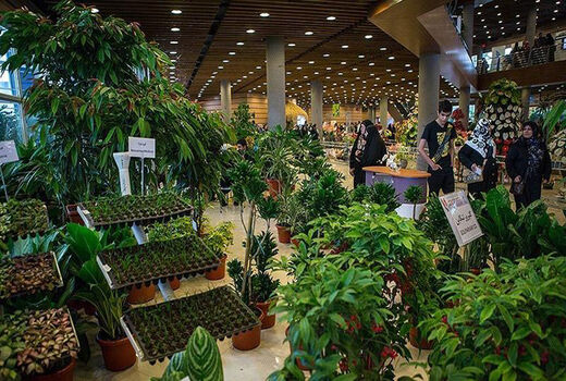 دردهایتان را در نمایشگاه گیاهان دارویی درمان کنید!