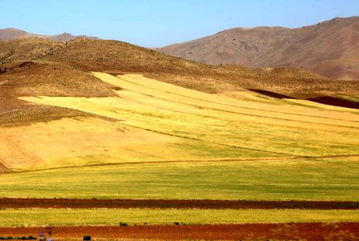 نقشه خاک  ۲۲ میلیون هکتار از اراضی کشاورزی کشور باید به‌روزرسانی شود