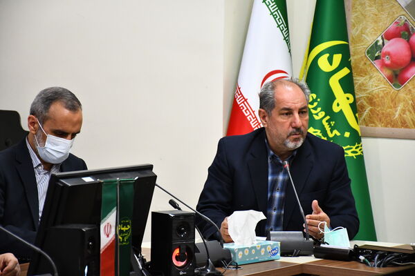 واقعی سازی قیمت، تولید گندم را افزایش می دهد