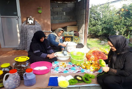 تشکیل صندوق اعتباری خرد زنان روستایی