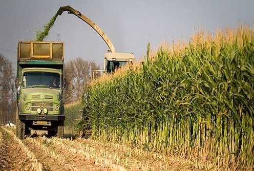 توصیه های هواشناسی و هشدار جدی به کشاورزان چهارمحال و بختیاری