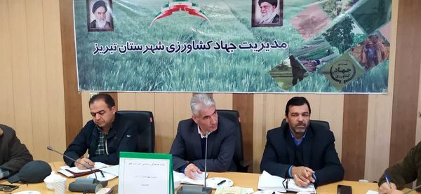 آمارگیری جامع دام سنگین در شهرستان تبریز با مشارکت تعاونی‌های دام انجام می گیرد