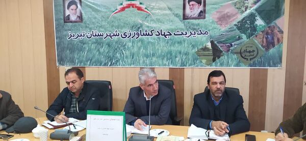 آمارگیری جامع دام سنگین در شهرستان تبریز با مشارکت تعاونی‌های دام انجام می گیرد