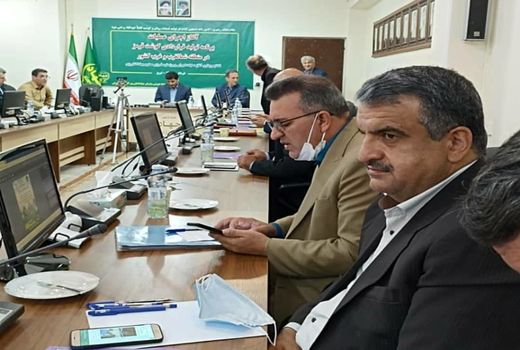 اجرای طرح تولید قراردادی گوشت در ایلام