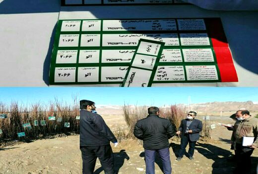 برخورد با فروشندگان غیر مجاز نهال در اسفراین