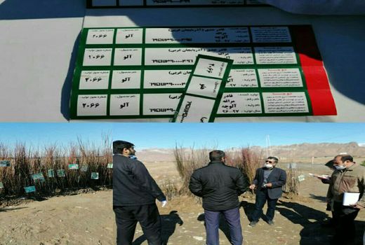 برخورد با فروشندگان غیر مجاز نهال در اسفراین