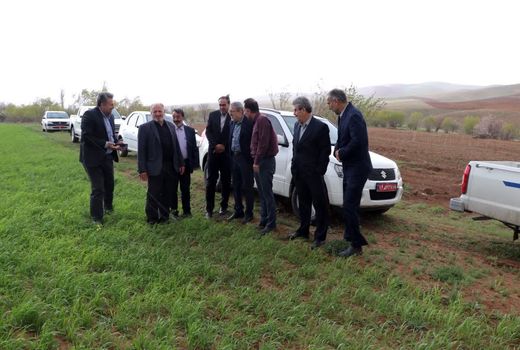 بازدید رئیس سازمان جهاد کشاورزی استان قزوین از روند نوسازی و بهسازی هفت رشته قنات در آوج