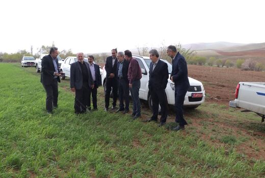بازدید رئیس سازمان جهاد کشاورزی استان قزوین از روند نوسازی و بهسازی هفت رشته قنات در آوج
