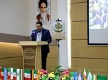 حفاظت از خاک پیش‌نیاز تحقق امنیت غذایی و سیاست‌های کلان منابع طبیعی است