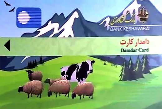 تخصیص بالغ بر2 میلیارد تومان اعتبار برای تسهیلات دامدارکارت در شهرستان درمیان