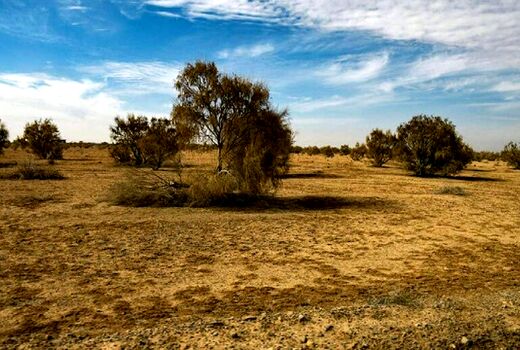 بیابان‌زایی زخمی بر پیکر طبیعت چهارمحال و بختیاری 
