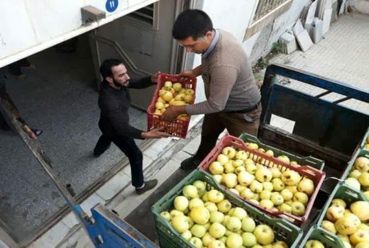 اهدای ۱۲۰ تن محصول سیب درختی در قالب زکات مستحبی توسط باغداران شهرستان دماوند