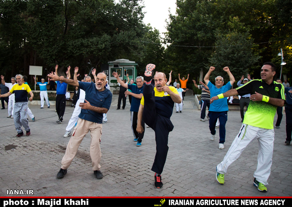 نرمش صبحگاهی