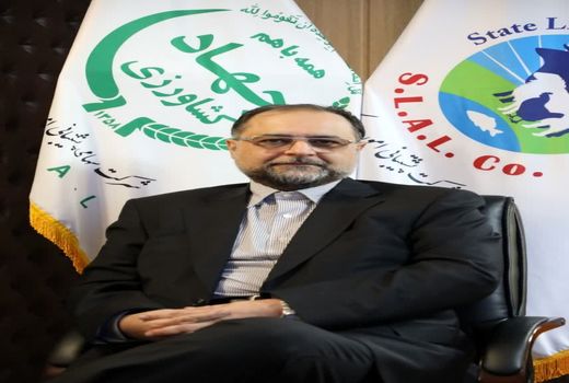 بی ثباتی ژئوپلیتیکی و اختلالات تجارت غلات در دریای سرخ