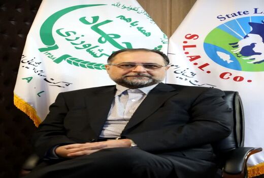 بی ثباتی ژئوپلیتیکی و اختلالات تجارت غلات در دریای سرخ