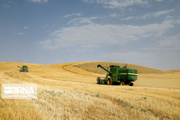 ۳۶ درصد مطالبه گندمکاران کردستانی واریز شده است