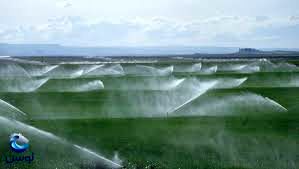 تشکیل 286 پرونده در راستای اجرای سامانه‌های نوین آبیاری