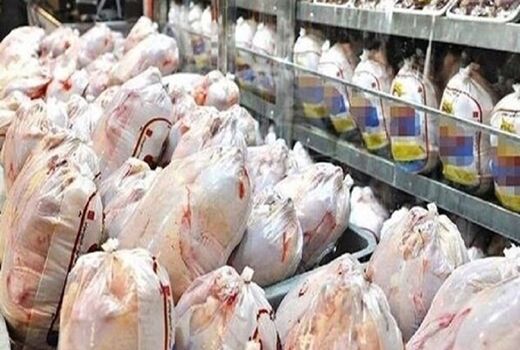 بازگشت ۵۰۰ کیلوگرم مرغ خارج از شبکه در قزوین به چرخه مصرف 
