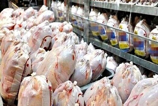بازگشت ۵۰۰ کیلوگرم مرغ خارج از شبکه در قزوین به چرخه مصرف 