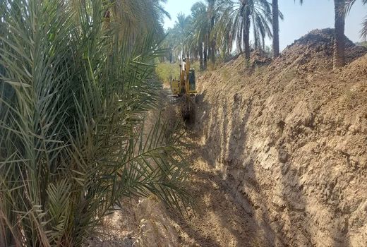 تأمین آب نخلستان‌های شادگان با لایروبی انهار