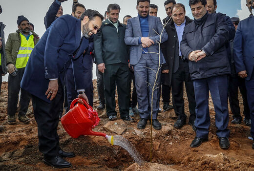  لزوم ورود بخش خصوصی در حوزه درختکاری