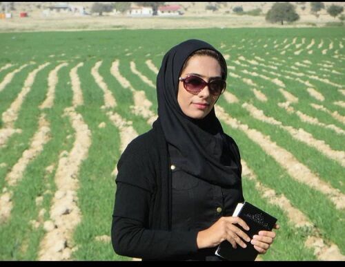 این پژوهشگر برتر، انار شیطان را در لارستان احیا کرد