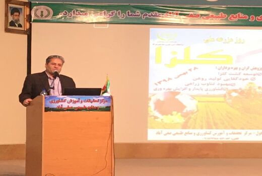 خوزستان مهمترین استان در تولید محصول و بذر کلزای بهاره در کشور