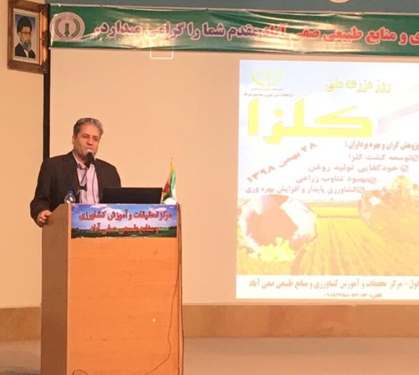 خوزستان مهمترین استان در تولید محصول و بذر کلزای بهاره در کشور