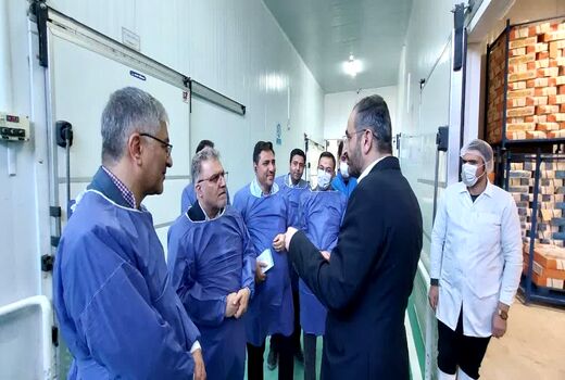 توسعه فرآوری، بسته‌بندی و صادرات ماهی در چهارمحال و بختیاری