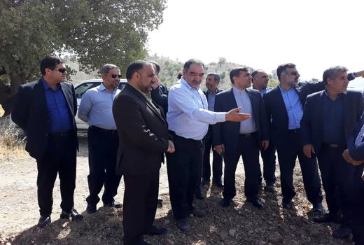 صنایع تبدیلی انگور را راه‌اندازی کنید 