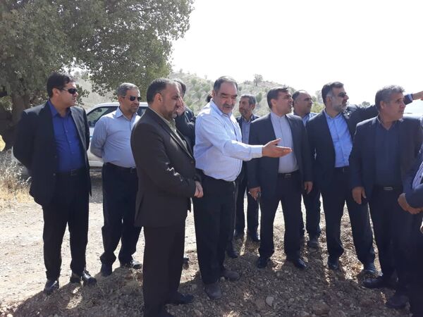 صنایع تبدیلی انگور را راه‌اندازی کنید 