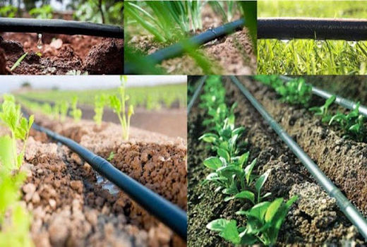 امسال ۵۰۷ هکتار از اراضی کشاورزی در آذربایجان غربی به آبیاری تحت فشار تجهیز شد