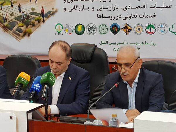 تأکید بر نقش تشکل‌ها در کاهش شکاف قیمتی و مدیریت بازار کشاورزی