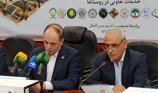 تأکید بر نقش تشکل‌ها در کاهش شکاف قیمتی و مدیریت بازار کشاورزی