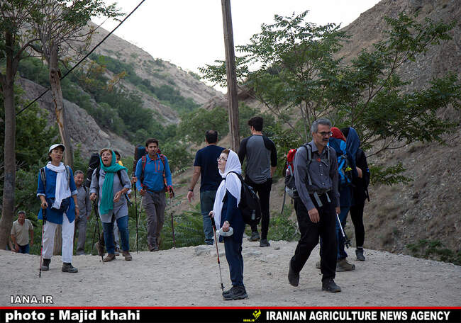 کوه پیمایی