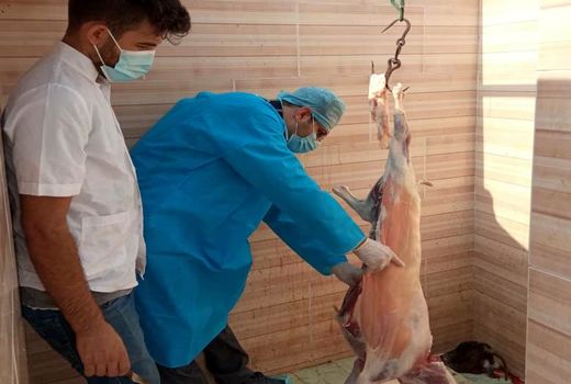 استقرار 34 اکیپ ثابت و سیار ذبح دام در بوشهر