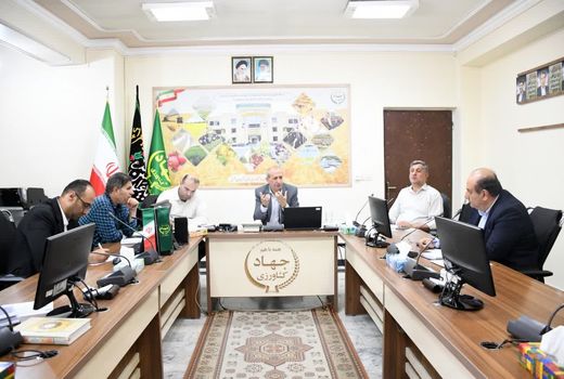 کاهش رغبت کشاورزان به بیمه محصولات/ نیازمند آسیب‌شناسی و بازنگری سیاست‌ها