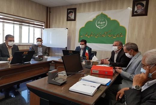 کاهش نیم درصدی ریزش در دستور کار برداشت گندم فارس