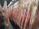 محموله گوشت منجمد برزیلی در بندرعباس تخلیه شد