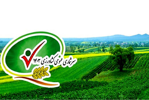 رشد ۶ درصدی بهره‌برداران و جهش ۱۶۰ درصدی گلخانه‌ها/نتیجه  سرشماری کشاورزی ۱۴۰۳ منتشر شد
