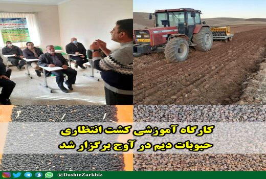 کارگاه آموزشی کشت انتظاری حبوبات دیم در آوج برگزار شد