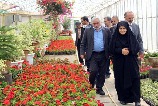فعالیت های گلخانه ای در سطح وسیع و بی نظیر در شهرستان ویژه مرند قابل تقدیر و تمجید است