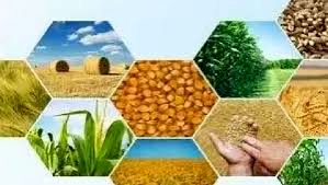 گزارش ۹ ماهه جهاد کشاورزی چرام؛ از توزیع نهاده تا نظارت بر بازار
