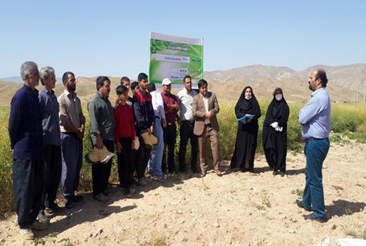برنامه های آموزشی ترویجی در زمینه توسعه و ترویج کشت محصول کلزا برای بهره برداران استان زنجان