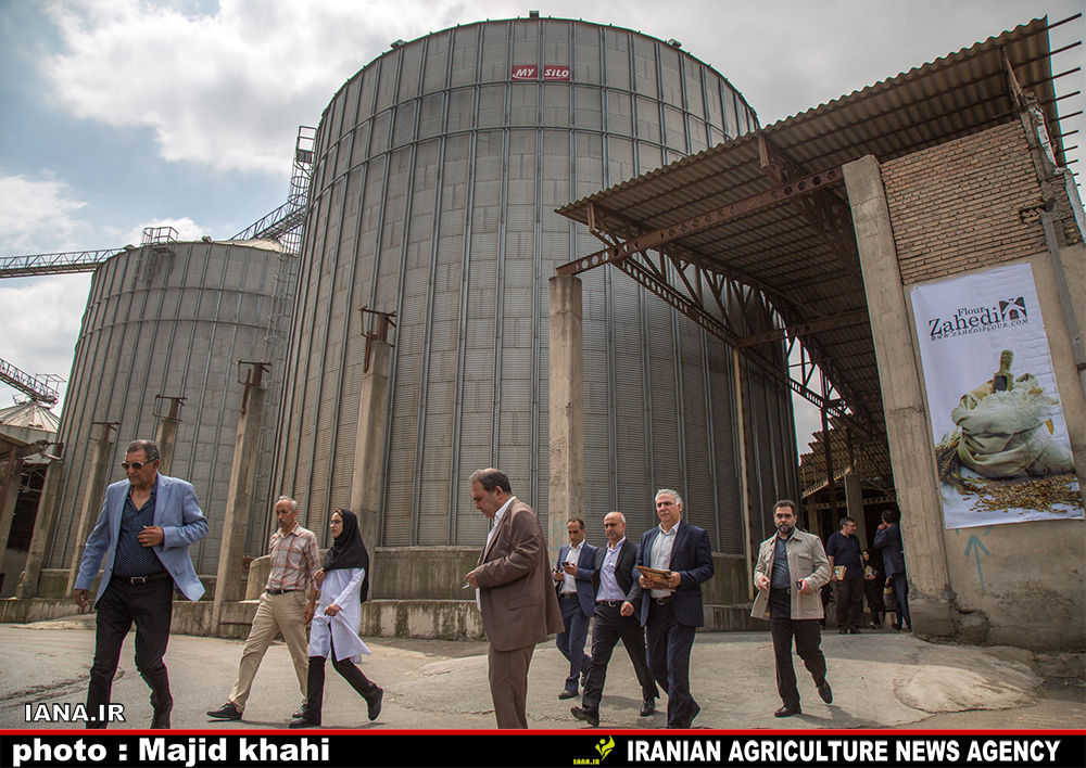 بازدید از کارخانه آرد