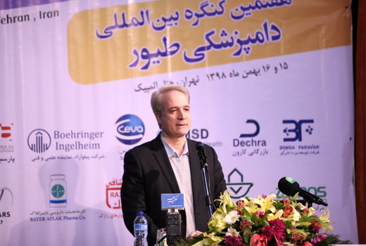 پرداخت ۳۲۰ میلیارد ریال غرامت به صنعت طیور کشور  