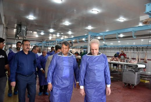 پرورش شتر در سیستان و بلوچستان، الگوی ملی می‌شود 